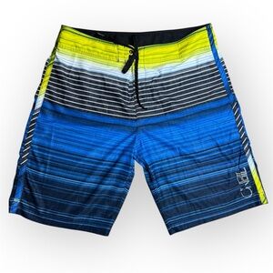 O'Neill Men's EpicFreak Striped Board Shorts Swim Trunks